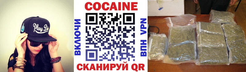 дарк нет формула  Шимановск  COCAIN Эквадор 