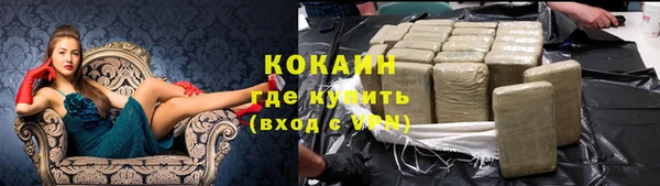 крисы Корсаков