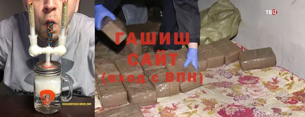 крисы Корсаков