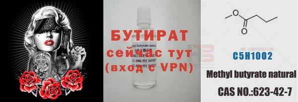 крисы Корсаков