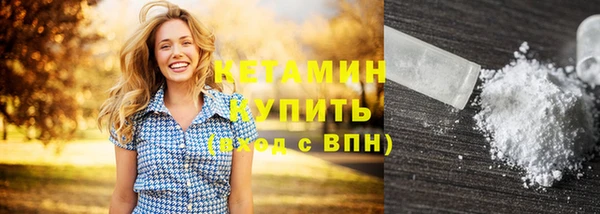 крисы Корсаков