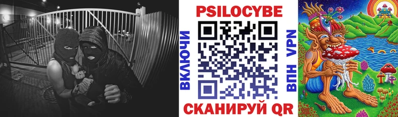 наркотики  Шимановск  Галлюциногенные грибы MAGIC MUSHROOMS 